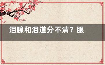 泪腺和泪道分不清？眼科医生教你认准"产泪工厂"和"排水系统"，宝宝流泪不止可能是这里堵了！